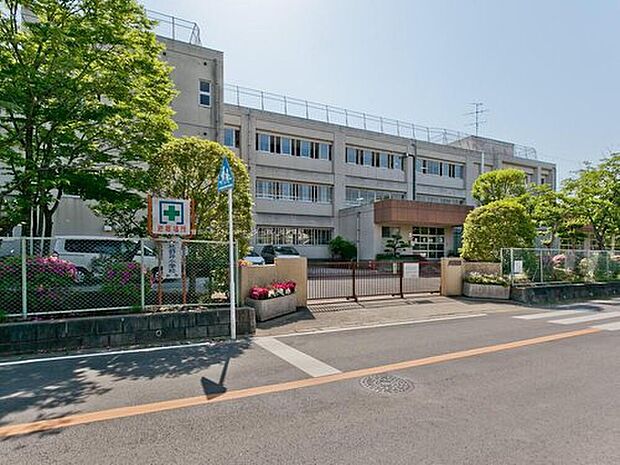 柏市立花野井小学校(約500m)