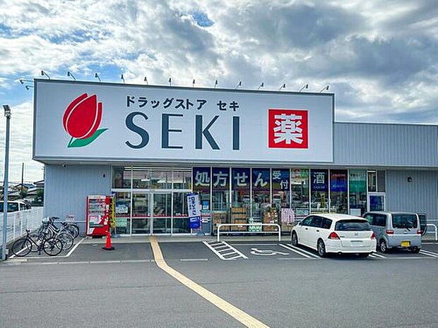 ドラッグストアセキ梅郷店(約1,000m)