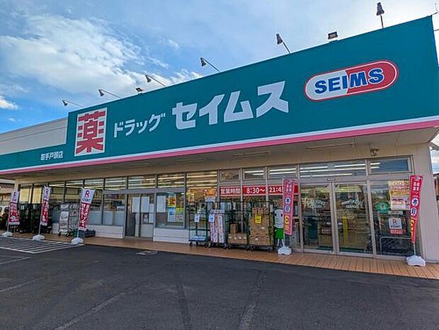 ドラッグセイムス取手戸頭店（約190m）