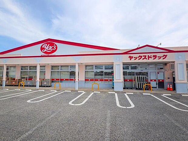 ヤックスドラッグ野田店(約650m)
