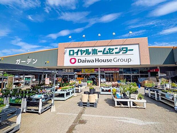 ロイヤルホームセンター南増尾(約400m)