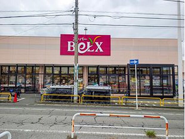 ベルクス柏つくしが丘店(約750m)