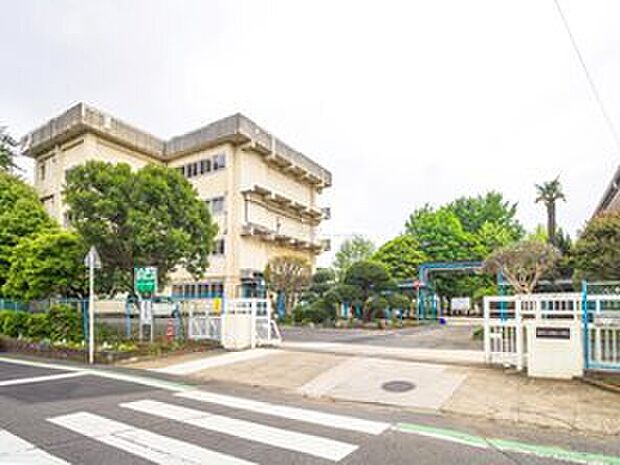 柏市立酒井根小学校（約510m）