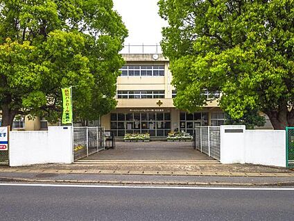 柏市立酒井根東小学校 880m(徒歩11分)