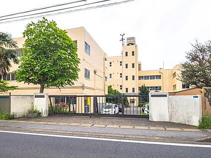 柏市立酒井根中学校 790m(徒歩10分)