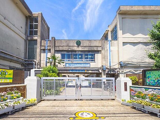柏市立高柳小学校(約730m)