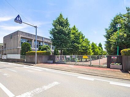 柏市立高柳中学校 680ｍ(徒歩9分)