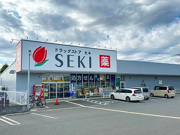 ドラッグストアセキ梅郷店（約550m）
