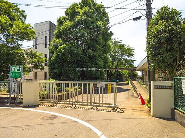 柏市立中原小学校（約1,100m）