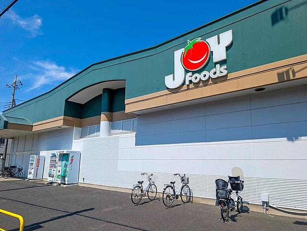 ジョイフーズ野田山崎店(約550m)