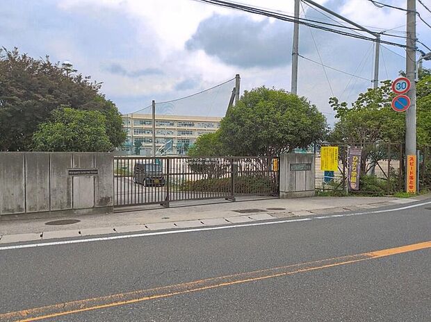 柏市立光ケ丘中学校(約550m)