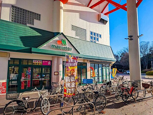 マルエツ北柏店（約700m）
