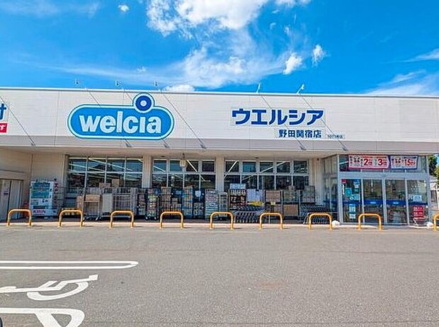 ウエルシア野田関宿店(約250m)