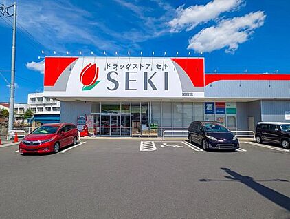 ドラッグストアセキ関宿店 700ｍ(徒歩9分)