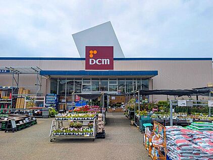 DCM新木野店 900m(徒歩12分)