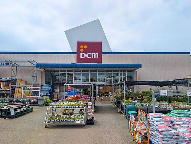 DCM新木野店（約900m）