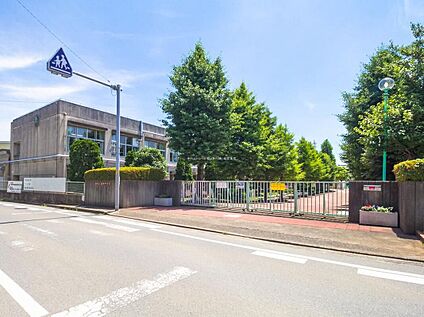 柏市立高柳中学校 350ｍ(徒歩5分)