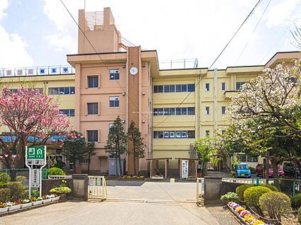 柏市立柏第五中学校 880ｍ(徒歩11分)