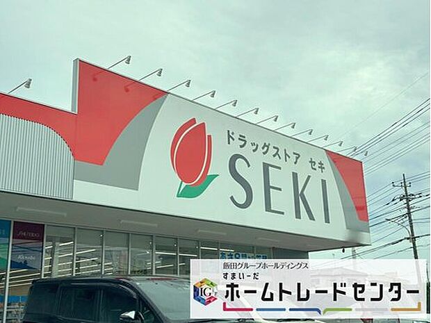 ドラッグストアセキ沼南店(約300m)