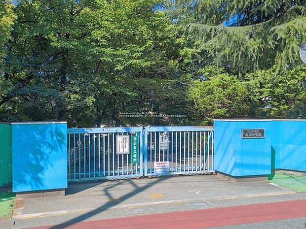 さいたま市立見沼小学校（約600m）