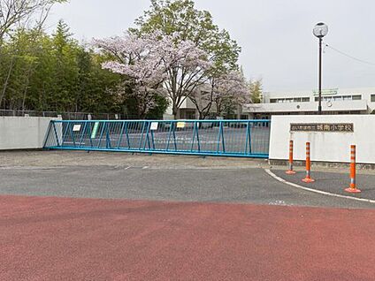 さいたま市立城南小学校 1300m(徒歩17分)