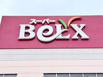ベルクス東大宮店 900m(徒歩12分/自転車4分)