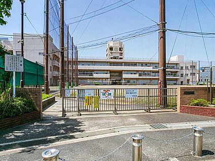 横浜市立寛政中学校 400ｍ(徒歩５分)