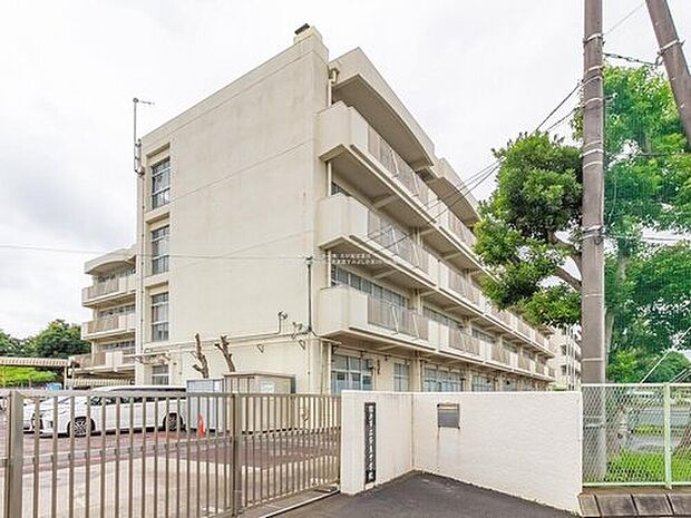 横浜市立奈良中学校（約700m）