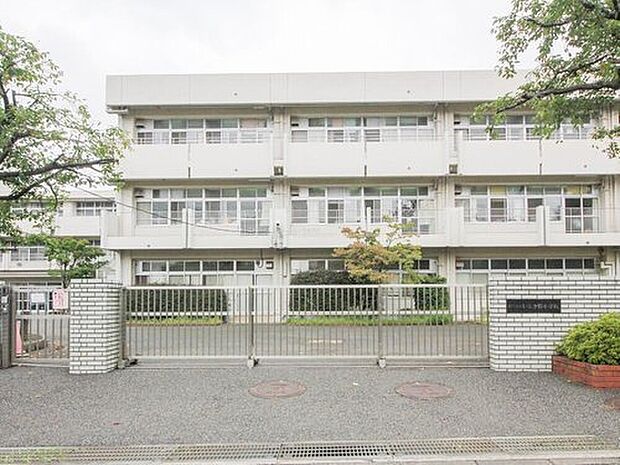 横浜市立いぶき野小学校(約500m)