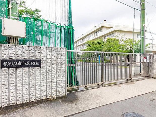横浜市立東市ケ尾小学校（約800m）