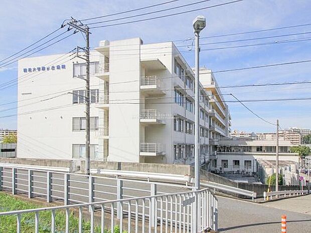 藤が丘病院（約600m）