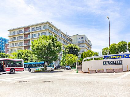 聖マリアンナ医科大学病院 3100ｍ(徒歩39分/車13分)