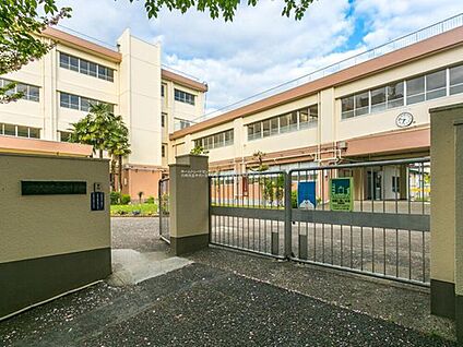 川崎市立千代ヶ丘小学校 800ｍ(徒歩10分)