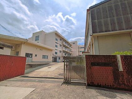 横浜市立市ケ尾小学校 750m (徒歩10分)