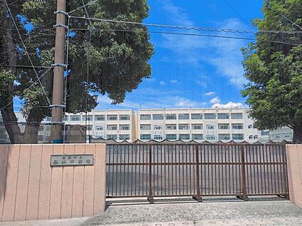 横浜市立谷本中学校 381m(徒歩5分)