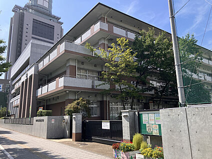 仙台市立上杉山通小学校 現地から450m。(徒歩6分。)