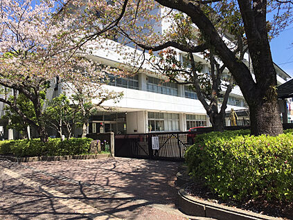 城内中学校 現地から1300m。(徒歩17分。)