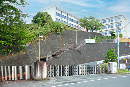 浜松市立入野中学校 現地から550m～560m。(徒歩7分。(最長))