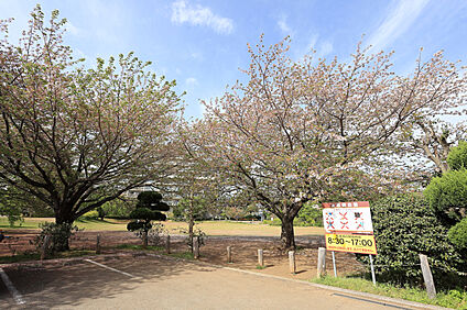 緑豊かな上岩崎公園 現地から1580m～1605m。(徒歩20分～21分。)