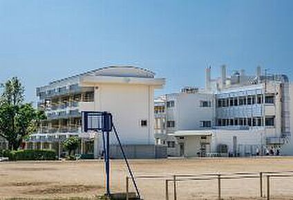 愛媛大学教育学部附属小学校 現地から400m。(徒歩5分。)