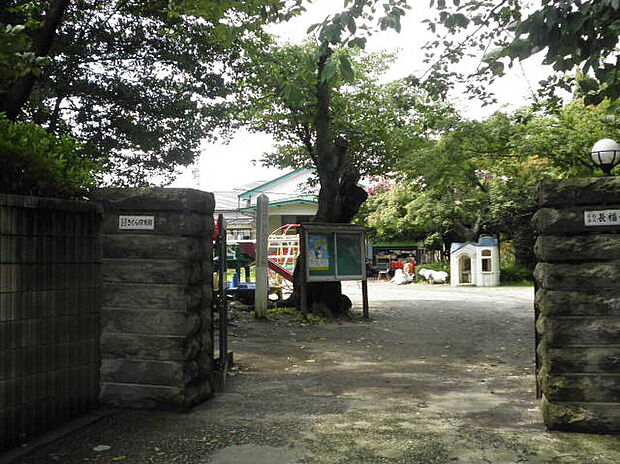 大宮さくら保育園