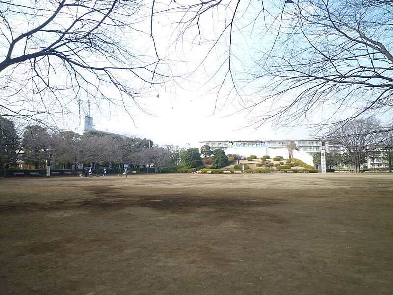 【レジャー】文理台公園