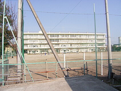 野寺小学校 約350m