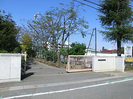 第三中学校 約1000ｍ