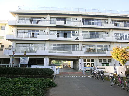 新堀小学校 約565m