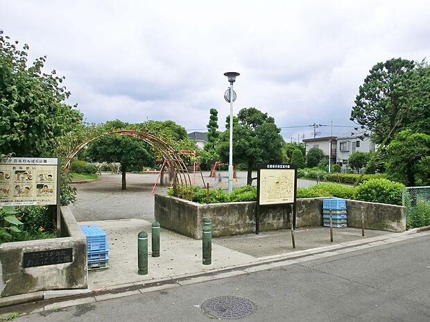 わんぱく公園