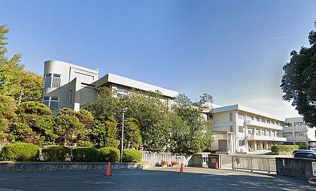 市立真弓小学校(約240m)