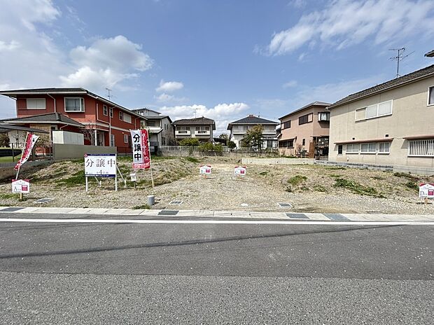 【現地】(2025年4月)撮影