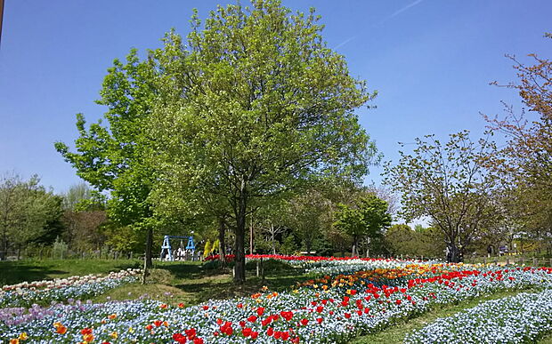 馬見丘陵公園(約4,200m)