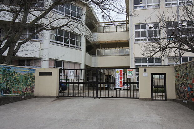 あやめ池小学校（約877m）